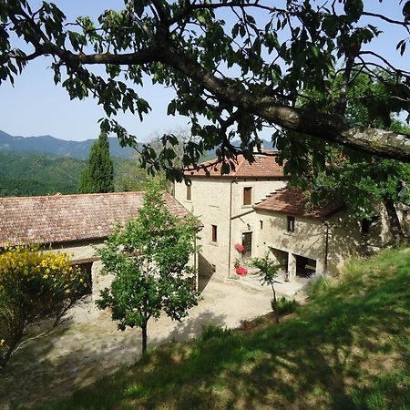 Agriturismo I Monti di Salecchio Villa Palazzuolo Sul Senio Esterno foto