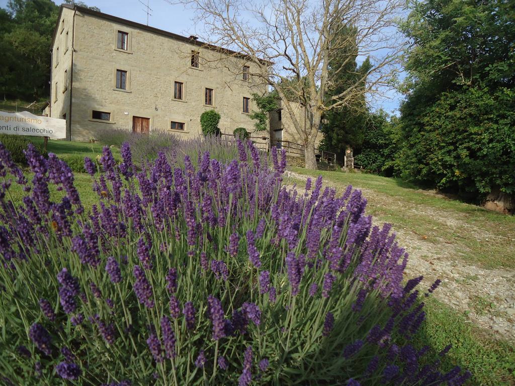 Agriturismo I Monti di Salecchio Villa Palazzuolo Sul Senio Esterno foto