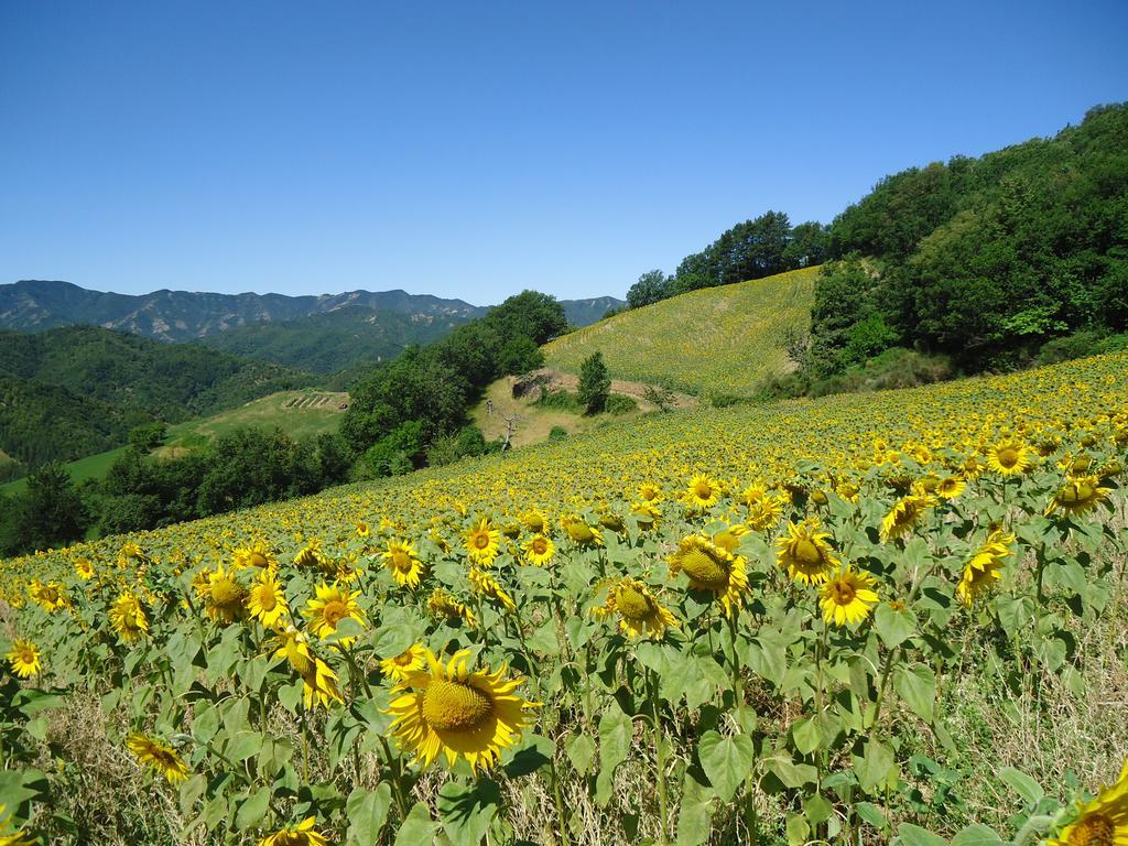 Agriturismo I Monti di Salecchio Villa Palazzuolo Sul Senio Esterno foto