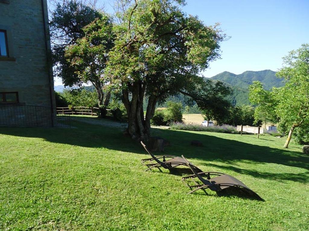 Agriturismo I Monti di Salecchio Villa Palazzuolo Sul Senio Esterno foto