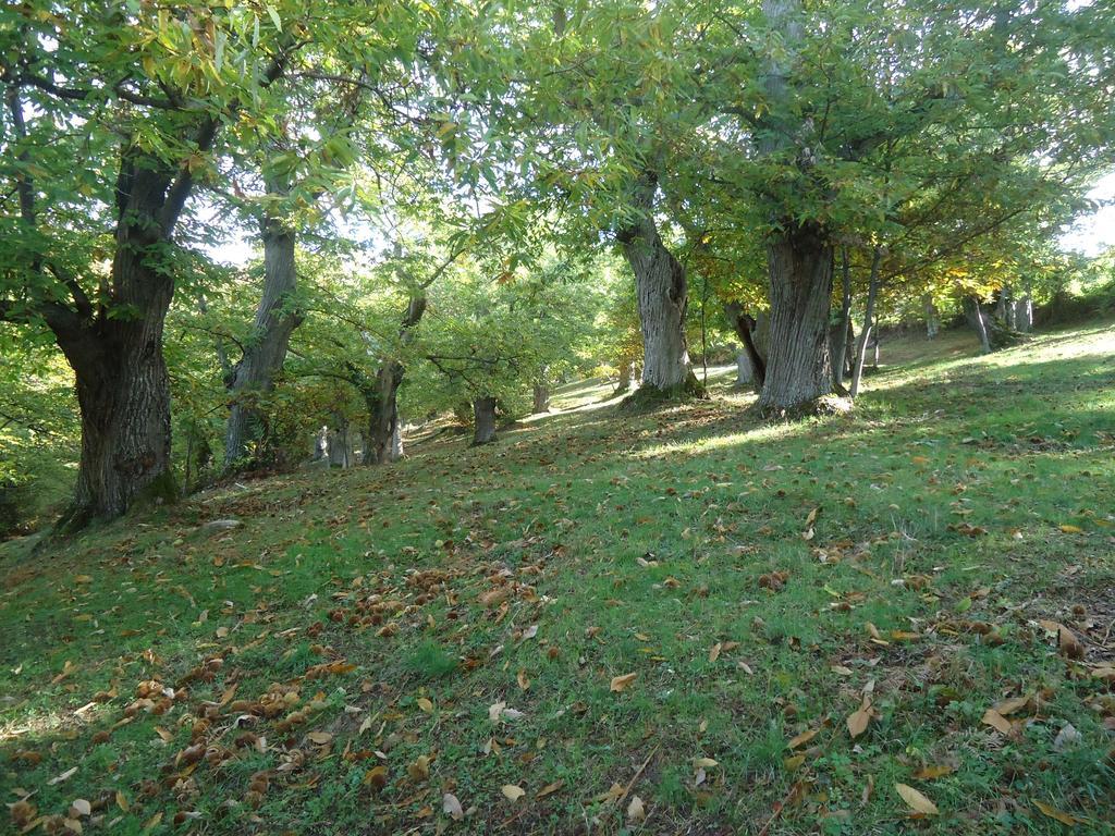 Agriturismo I Monti di Salecchio Villa Palazzuolo Sul Senio Esterno foto