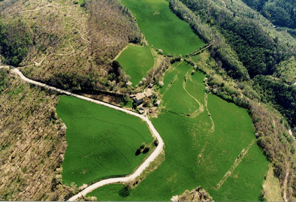 Agriturismo I Monti di Salecchio Villa Palazzuolo Sul Senio Esterno foto