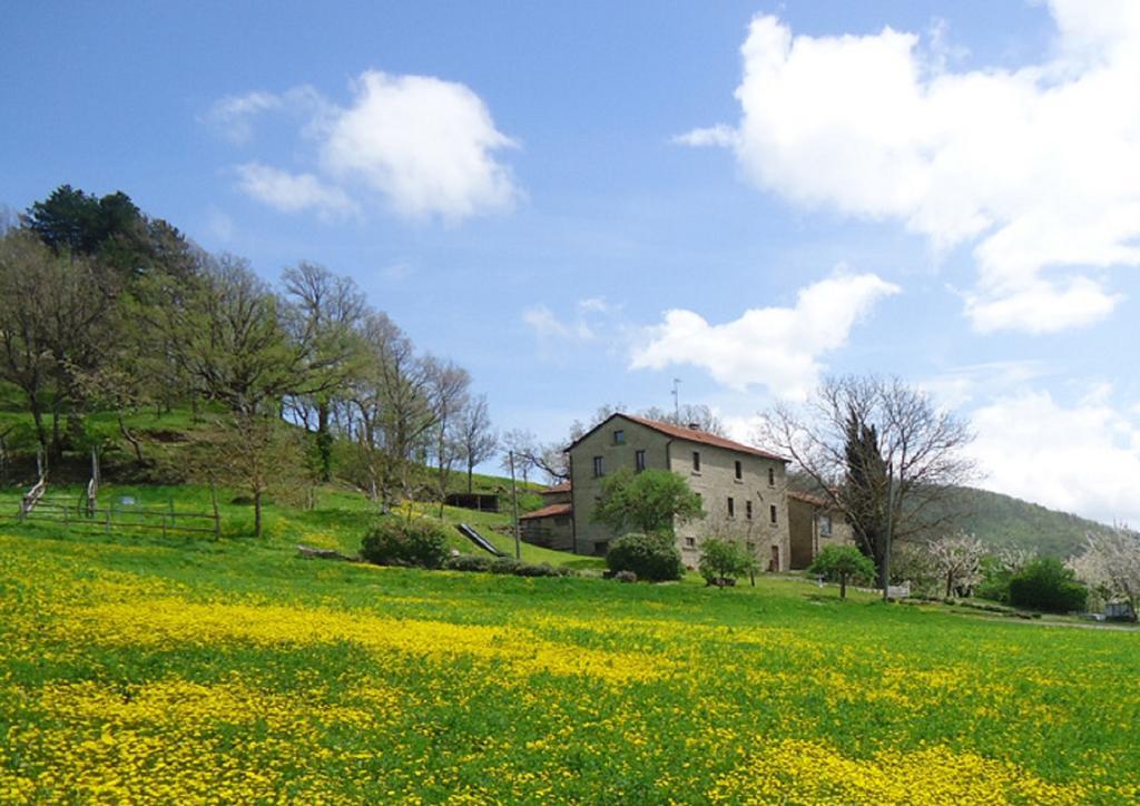 Agriturismo I Monti di Salecchio Villa Palazzuolo Sul Senio Esterno foto