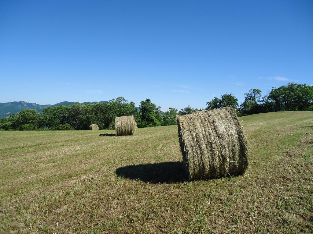 Agriturismo I Monti di Salecchio Villa Palazzuolo Sul Senio Esterno foto